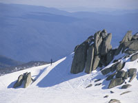 snowymnts.jpg